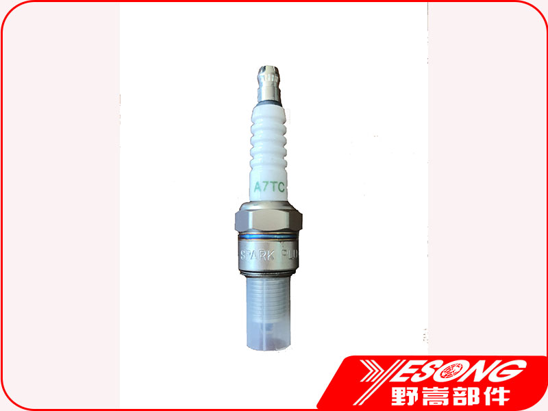 spark plug