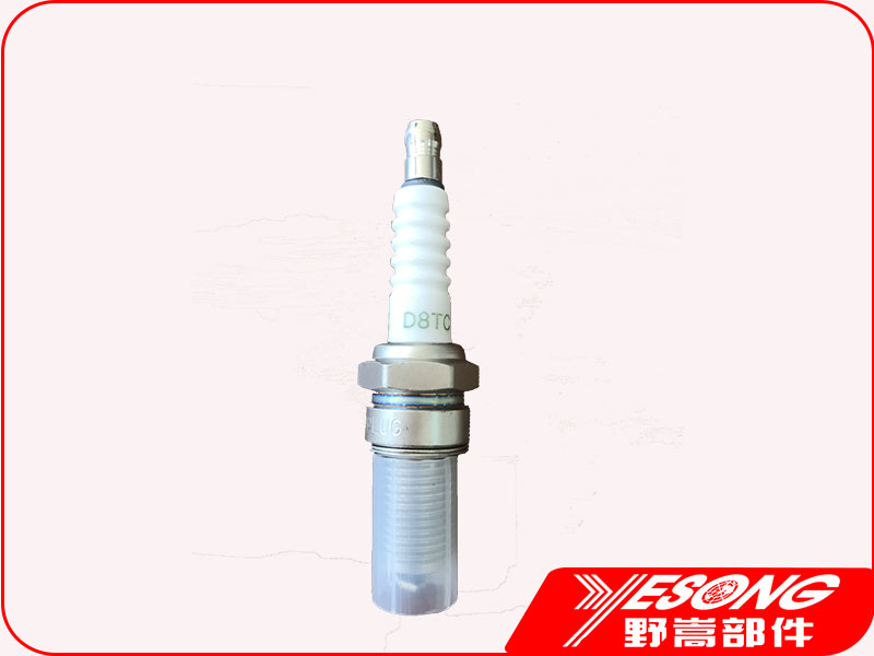 spark plug